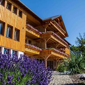 Les Gîtes d'Adelspach Gîtes&Spa en Alsace